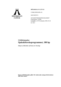 3 Beskrivning av programmet
