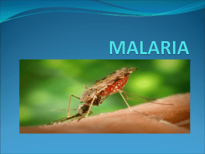 Okomplicerad malaria