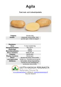 Agila_Informationen_på_svenska