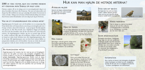 hur kan man hjälpa de hotade arterna