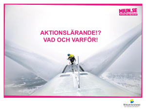aktionslärande!? - Mittuniversitetet