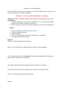 Laboration -eldar magnesium