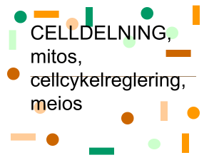 Meios I