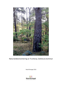 Naturvärdesinventering av Trumtorp, Eskilstuna kommun