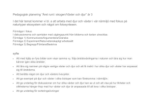 Pedagogisk planering ”Året runt i skogen/Växter och djur” år 3 I det