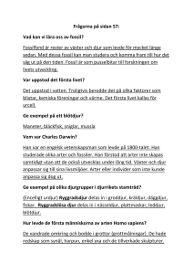 Vad kan vi lära oss av fossil?
