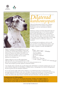 Dilaterad