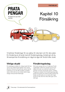 Kapitel 10 Försäkring