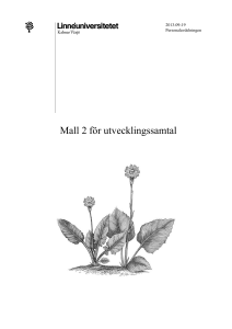 Mall 2 för utvecklingssamtal
