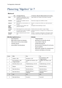 Planering ”Algebra” år 7
