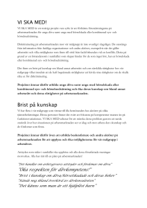 docx - VI SKA MED arbetsmarknadsprojekt
