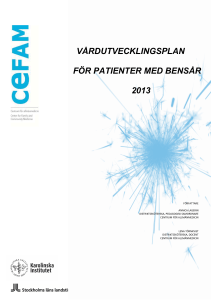 VUP patienter med bensår 2013