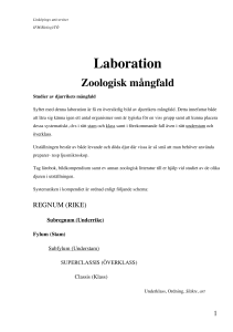 Laboration - IFM - Linköpings universitet