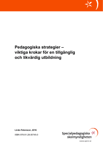 Pedagogiska strategier – viktiga krokar