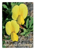 Förstasida och introduktion.indd 7.indd