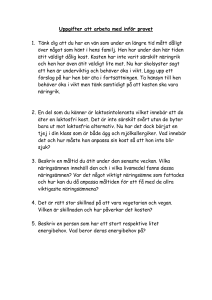 Uppgifter att arbeta med inför provet