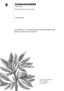 Examensarbete mall - Linnéuniversitetet