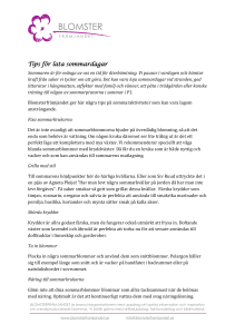 Tips för lata sommardagar