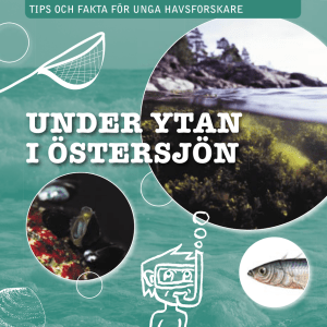 under ytan i östersjön