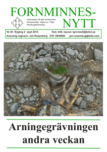 Arningegrävningen andra veckan