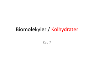 Biomolekyler /Kolhydrater