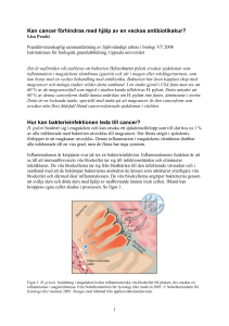 Kan cancer förhindras med hjälp av en veckas antibiotikakur? Hur