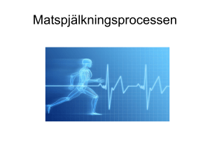 Matspjälkningsprocessen