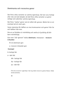 Dominanta och recessiva gener