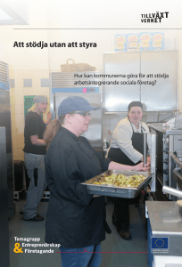 Att stödja utan att styra - Svenska ESF