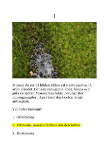 2 En härlig matsvamp som växer här i skogen på hösten, vilken? 1