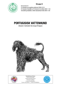 portugisisk vattenhund - Svenska Kennelklubben