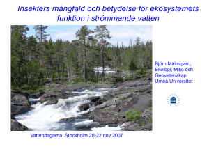 Insekters mångfald och betydelse för ekosystemens funktion i