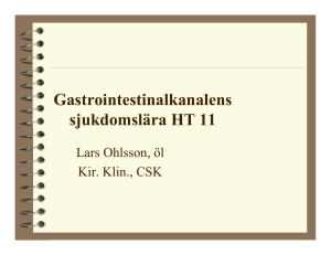 Föreläsning mag