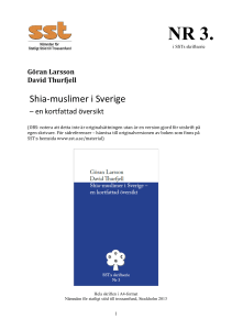 Shia-muslimer i Sverige - Nämnden för statligt stöd till trossamfund