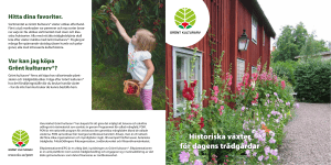 Historiska växter för dagens trädgårdar
