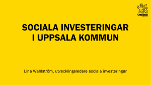 Bilaga 4 – kommunala handikapprådets