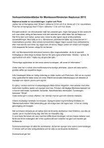 Verksamhetsberättelse för Montessoriförskolan Neptunus 2013