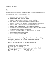 KURSPLAN I BILD(19 kB, pdf)