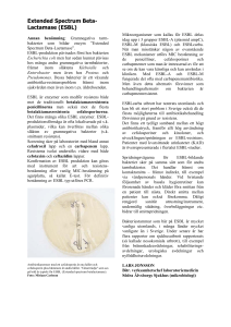 Extended Spectrum Beta- Lactamase (ESBL)