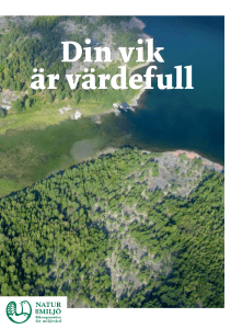 Din vik är värdefull