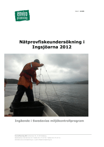 Nätprovfiskeundersökning i Ingsjöarna 2012