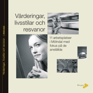 Värderingar, livsstilar och resvanor