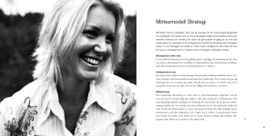 Mötesmodell strategi