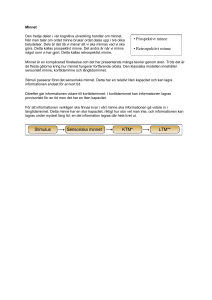 Visa föreläsning som PDF