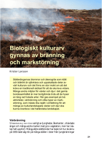 Biologiskt kulturarv gynnas av bränning och markstörning