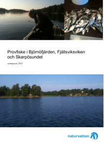 Provfiske Baltic2020