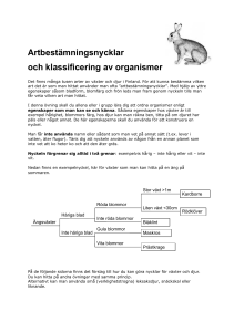 Artbestämningsnycklar och klassificering av organismer
