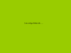Lite roliga bilder - Linnéa Karlssons Hemsida