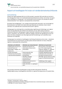 Rapport och handlingsplan för brukar