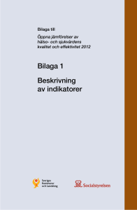 Bilaga 1 Beskrivning av indikatorer